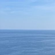 🦕さんのアイコン画像