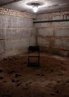 小説長編 ケロロ軍曹 KILLウィルスであります！！