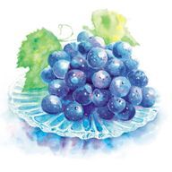 ぶどう🍇🍬さんのアイコン画像