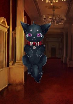 反社の名前は黒猫団だそうです