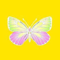 ひよこさんのアイコン画像