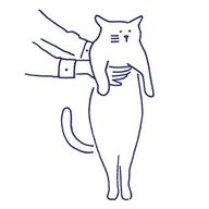 100万回長靴をはいたねこさんのアイコン画像