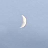 OTSUKIo_oMIさんのアイコン画像