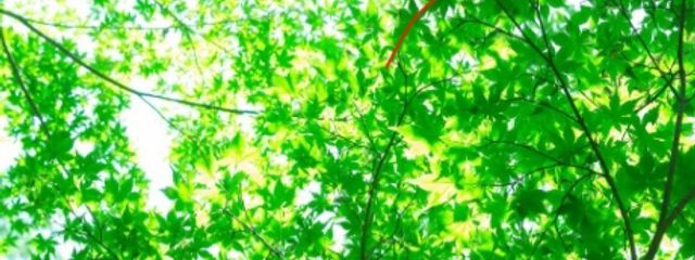 らも　　お絵描き同盟結成中🎨🖌️さんの壁紙画像