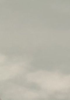 【参加型〆切】美味しいご飯を食べ歩きながら日本一周する。