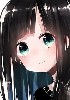 《鬼滅の刃 》《東方Project》