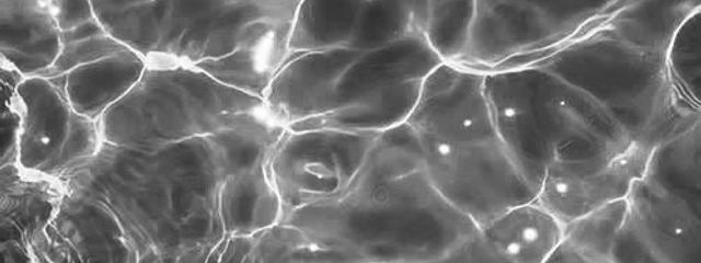 わさびさんの壁紙画像