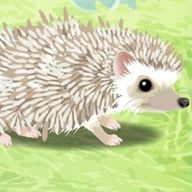 ろくせんねんさんのアイコン画像