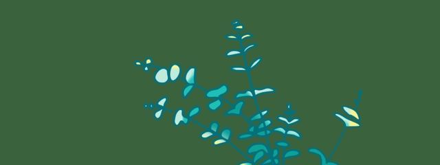 Iris⚜さんの壁紙画像