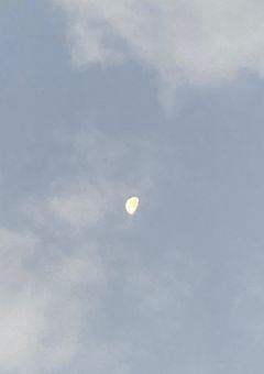 腐の絵を描く皆様へのアドバイス！