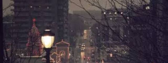 だいたい骨さんの壁紙画像