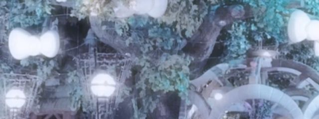 野生の肩ロースさんの壁紙画像