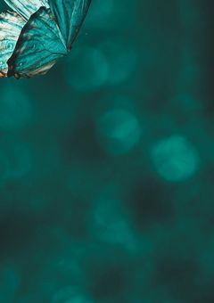 離れてください、新人くん【 ern 】