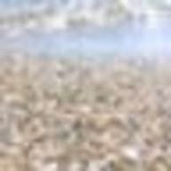 tempest rainbowさんのアイコン画像