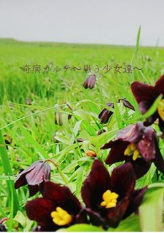 奇病カルテ〜患う少女たち〜