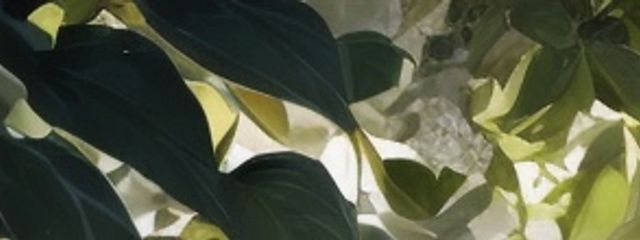 癒輝さんの壁紙画像