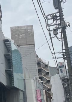 鬱金香