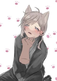 '2j3j" 拾いました、子猫君