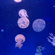 ゆいさんのアイコン画像