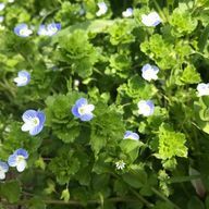 空さんのアイコン画像