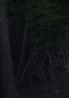 茶番カプリシオ）めろぱかパロ