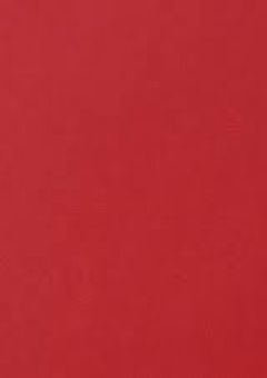 路上ライブ／2j3j／