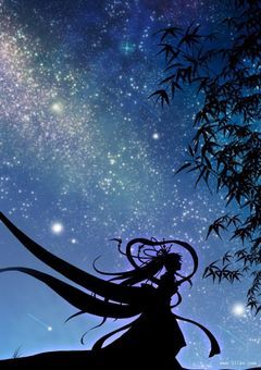 短冊に願いを。