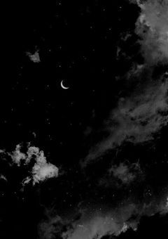 当て馬ポジションで良かったのに！！