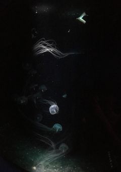 Lyrics stories 