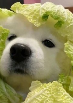 みんなに愛される女の子