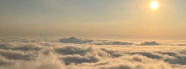  あんこの屋さんの壁紙画像