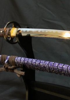 我が家のカオスを見てらっしゃい！