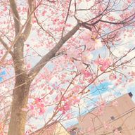 名無しさんのアイコン画像