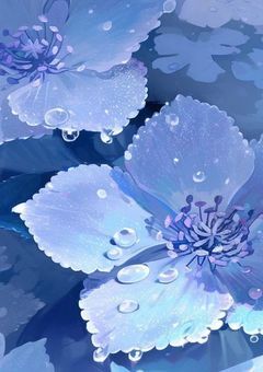 　今 日 か ら 義 姉 に な る ら し い で す 。/ v 0 s g