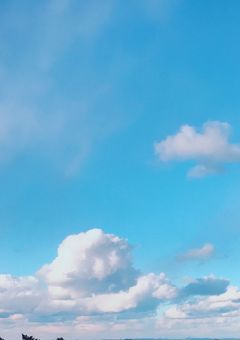 心の声     