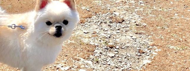 瀬呂さんの壁紙画像