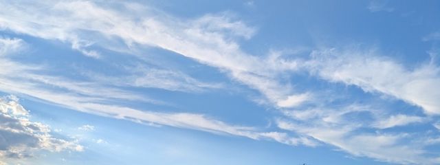 やは丸さんの壁紙画像