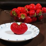 オルタナさんのアイコン画像