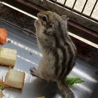 クロスさんのアイコン画像