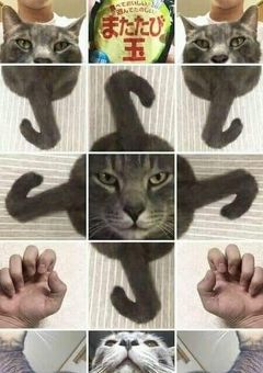 秋刀魚さん！成仏させてあげますよ！