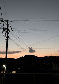 お兄ちゃん達に溺愛されすぎて困ってます