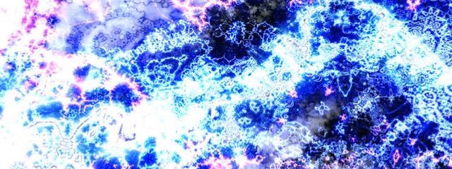 月見草さんの壁紙画像