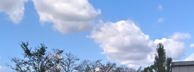 お刺身さんの壁紙画像