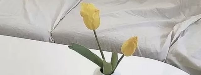 _tumugi_さんの壁紙画像