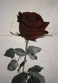 吸血鬼の恋物語~sho.ren.~🥀