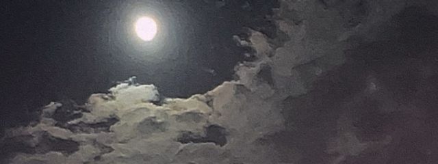 つきさんの壁紙画像