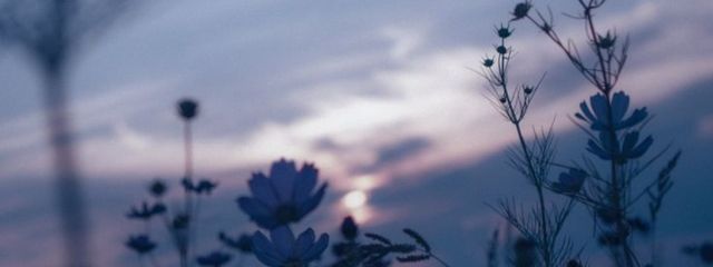 　彩華　*◇さんの壁紙画像