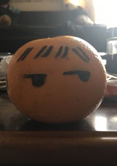 はじめまして！