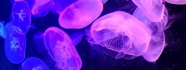 トヨカンさんの壁紙画像