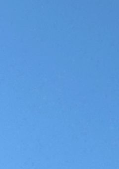 もう一度氷の上に